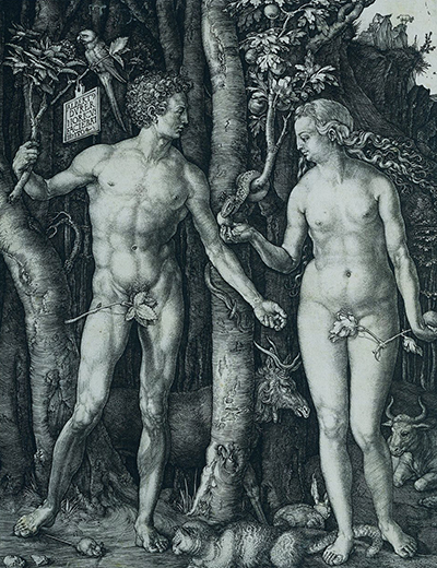 Adam und Eva Albrecht Durer